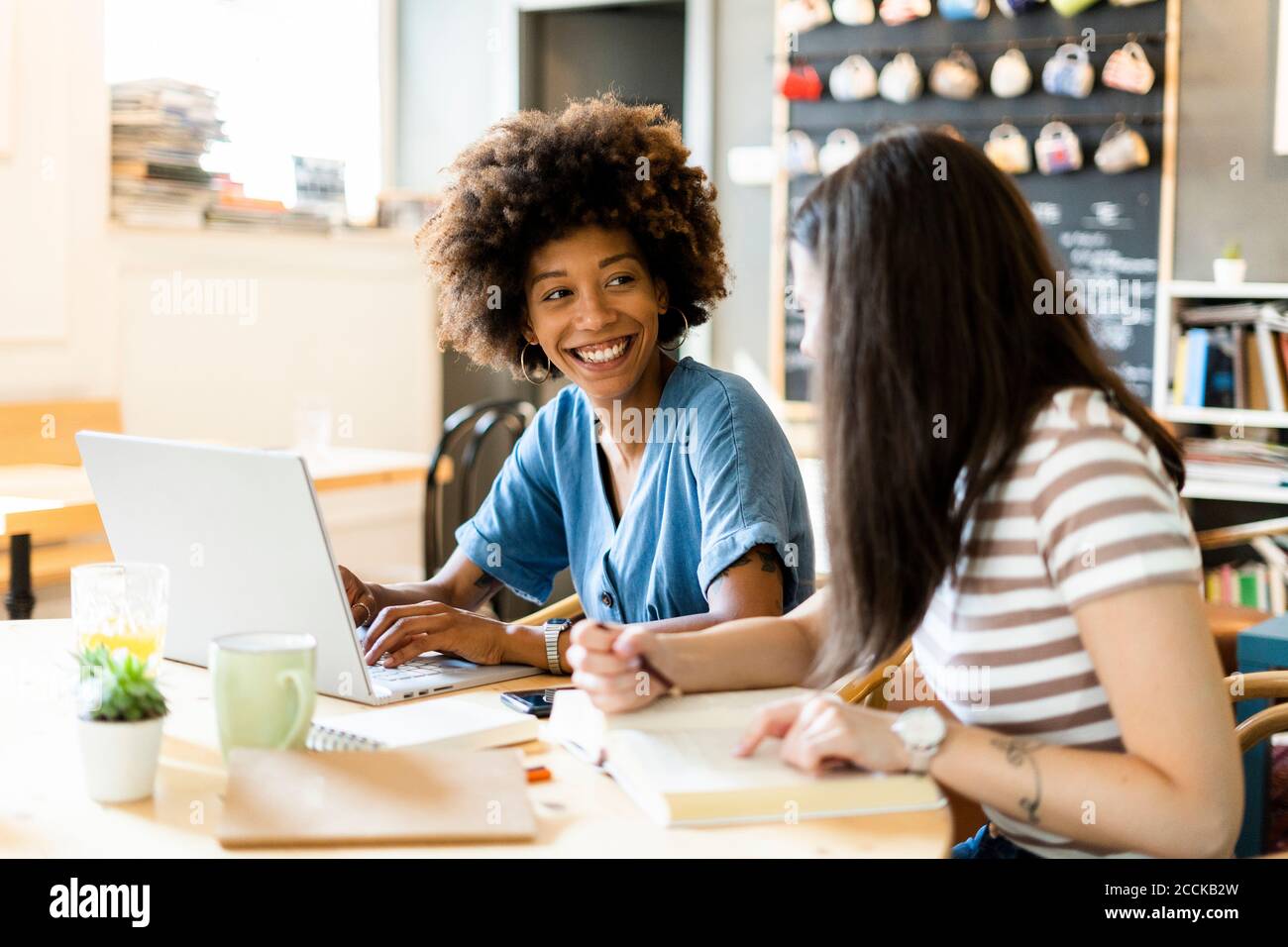 Happy women with laptop studying at table in coffee shop Stock Photo