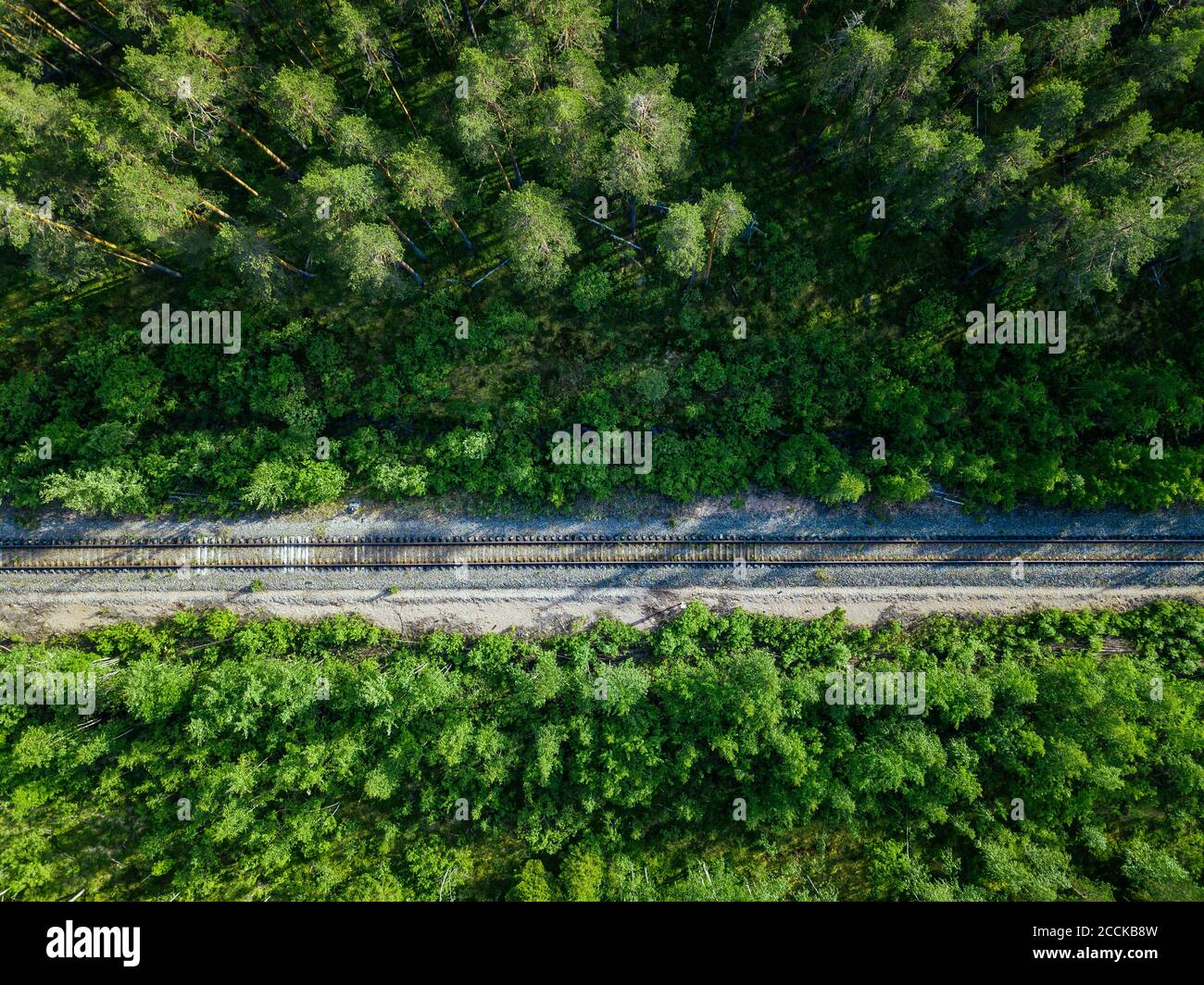 Russia, Petrozavodsk Oblast, Karelia, Railroad track crossing forest, aerial view Stock Photo