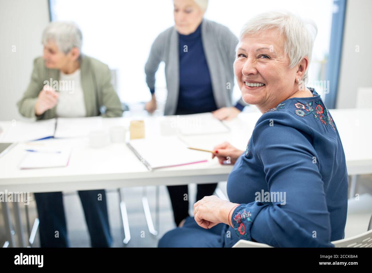 Group of active seniors attending seniors education course Stock Photo