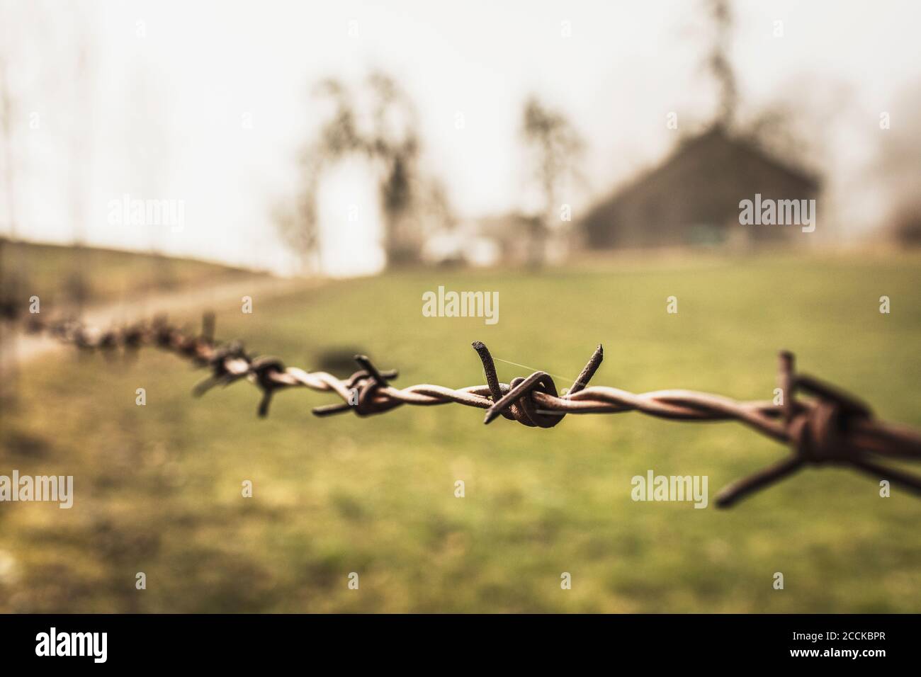 Old barbed wire fence hi-res stock photography and images - Alamy