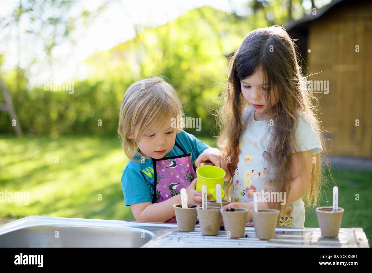 Cute girl watering plants while gardening with sister in at yard Stock Photo
