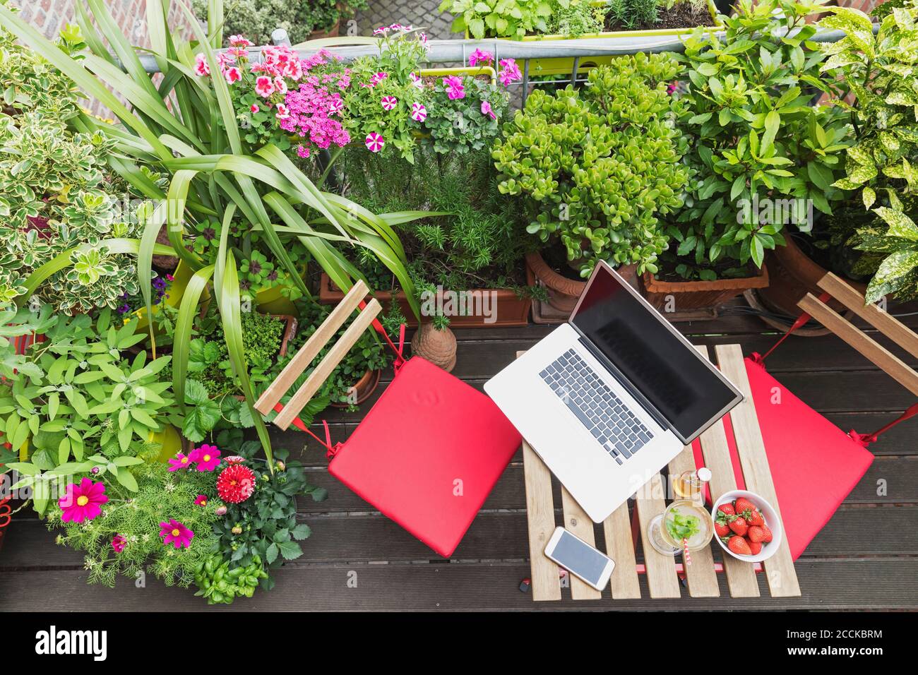 Laptop lying on balcony table surrounded by various summer herbs and flowers Stock Photo