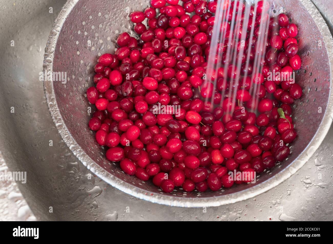 Cornelian cherries (Cornus mas) being washed in metal bowl Stock Photo