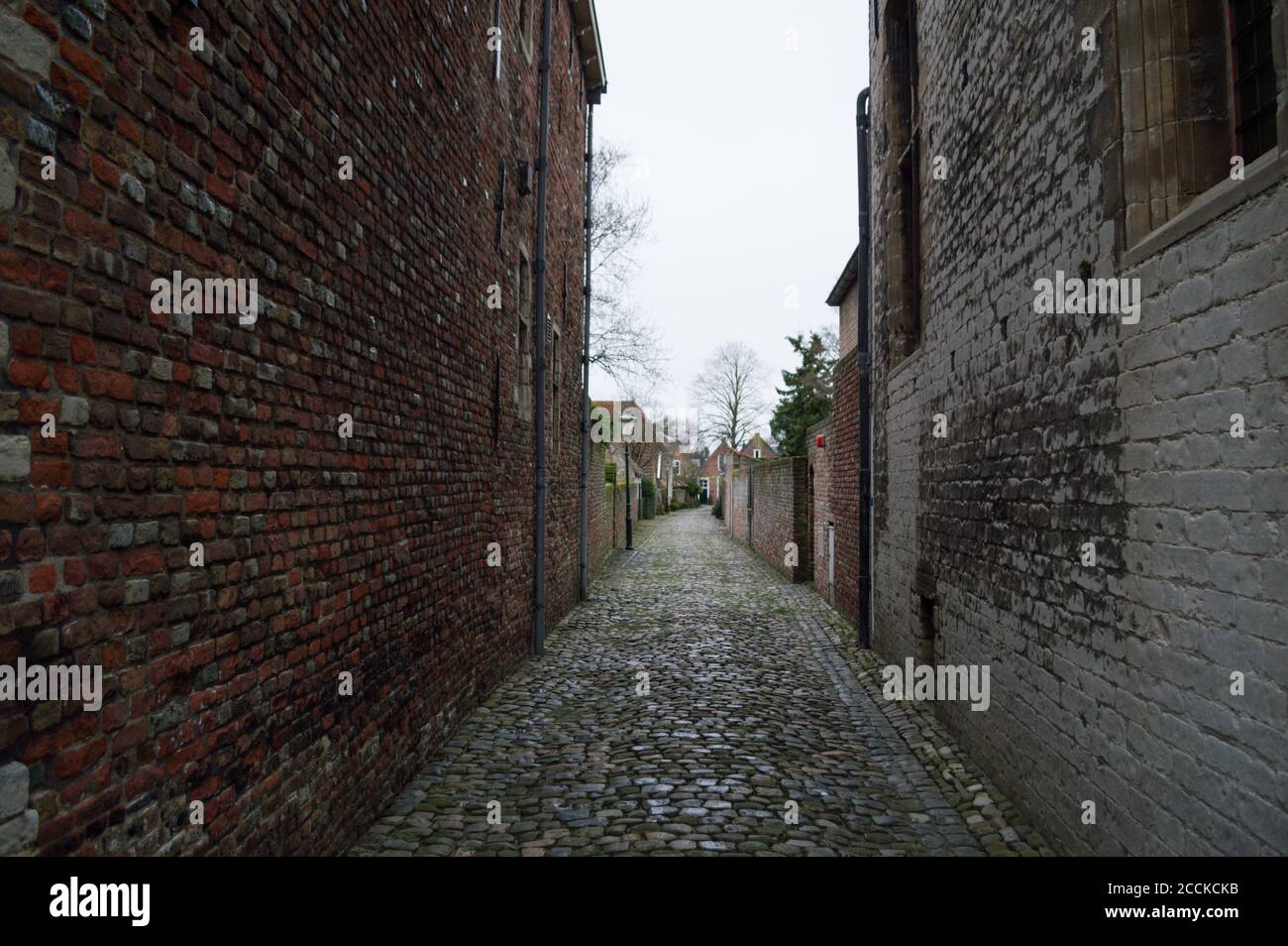 Traditional Dutch Houses in an Alley in Veere, Zeeland, Netherlands
