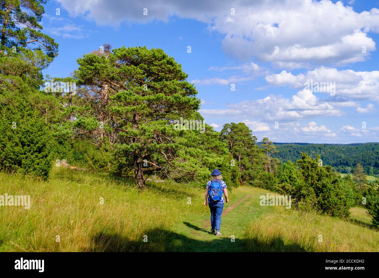 Senior adults hiking spring hi-res stock photography and images - Alamy