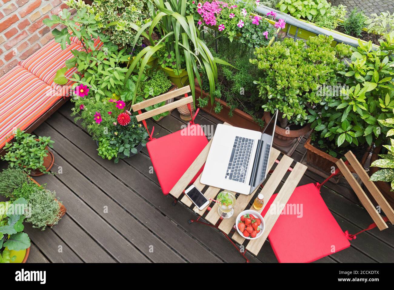 Laptop lying on balcony table surrounded by various summer herbs and flowers Stock Photo