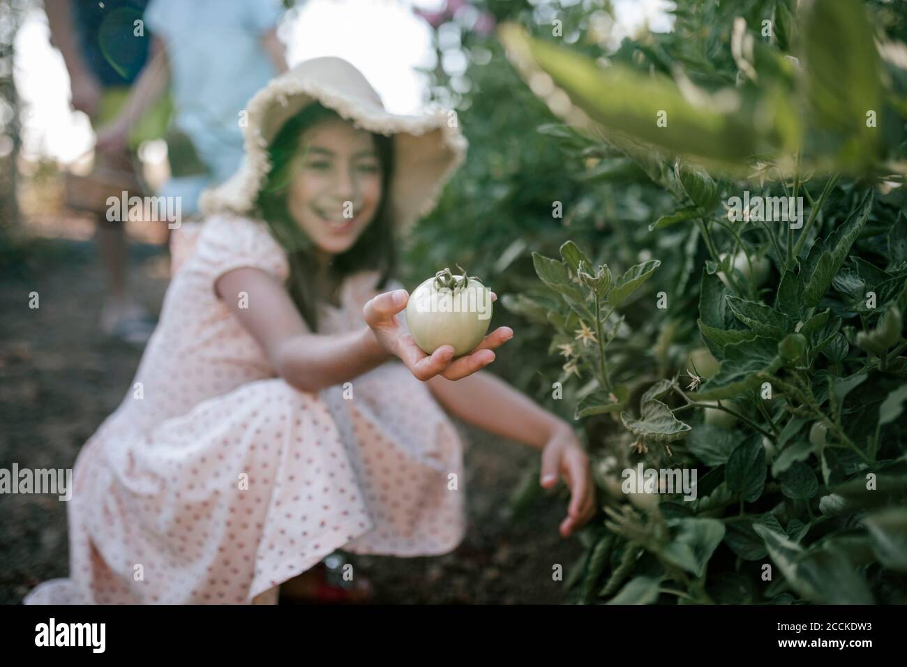Smiling girl showing tomatoes in vegetable garden Stock Photo - Alamy