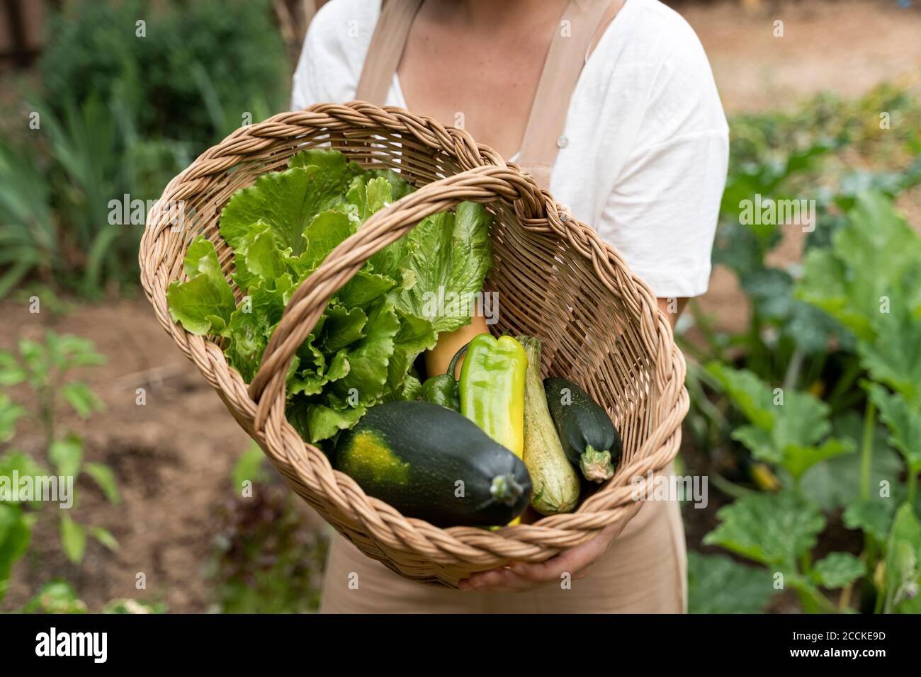 Woman in wicker basket hi-res stock photography and images - Alamy