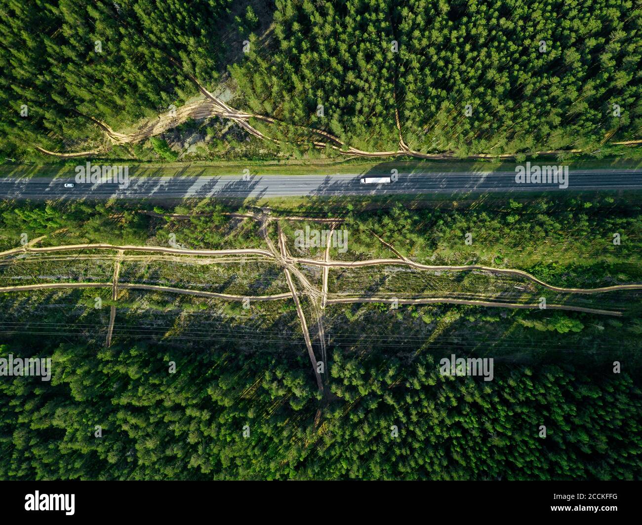 Russia, Petrozavodsk Oblast, Karelia, Road crossing forest, aerial view Stock Photo