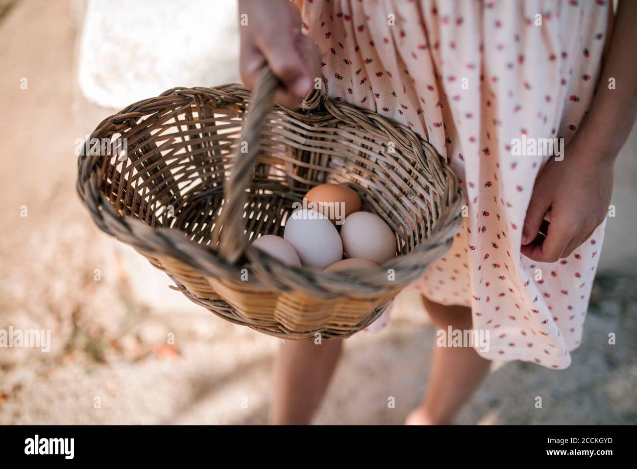 Egg hand basket not easter hi-res stock photography and images - Alamy