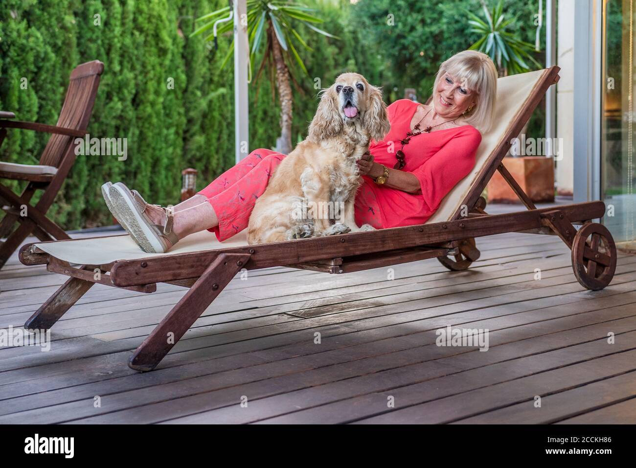 dog patio chair