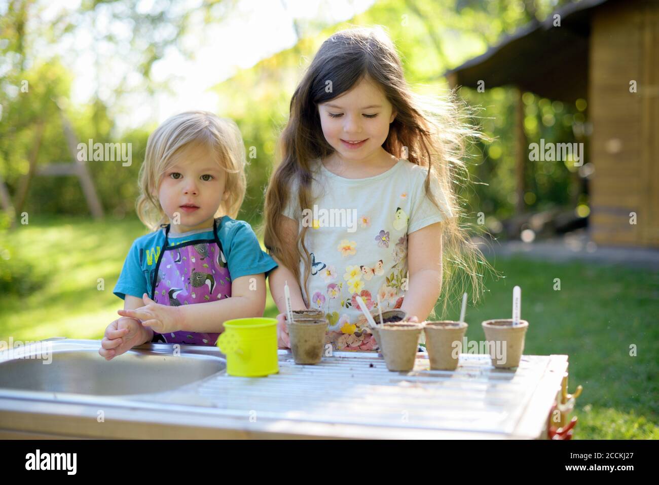 Cute girl standing with sister planting seeds in small pots on table at yard Stock Photo