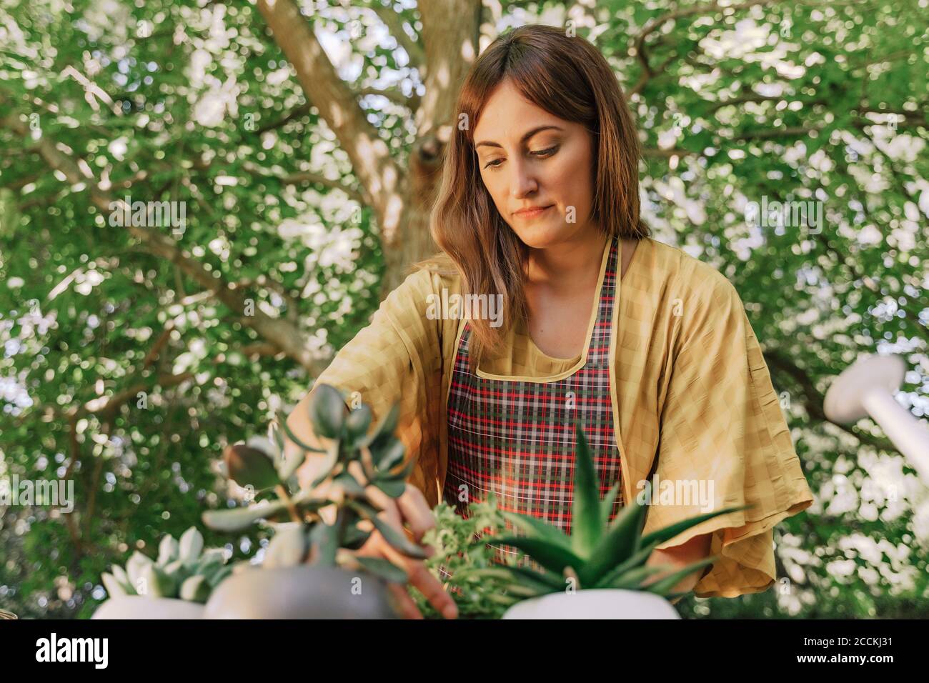 Mid adult woman taking care of potted plants against tree in yard Stock Photo