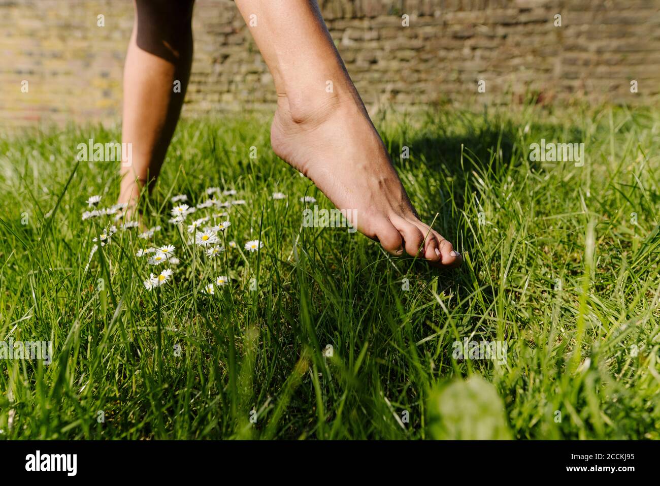 Feet of a woman walking in grass Stock Photo