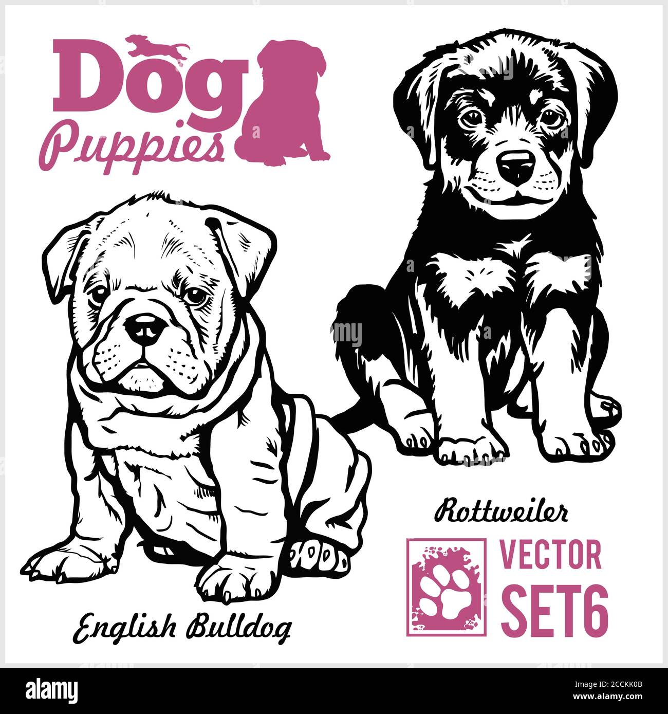 English Bulldog and Rottweiler - Dog Puppies. Vector set. Funny dogs puppy pet characters different breads doggy illustration isolated on white. Stock Vector