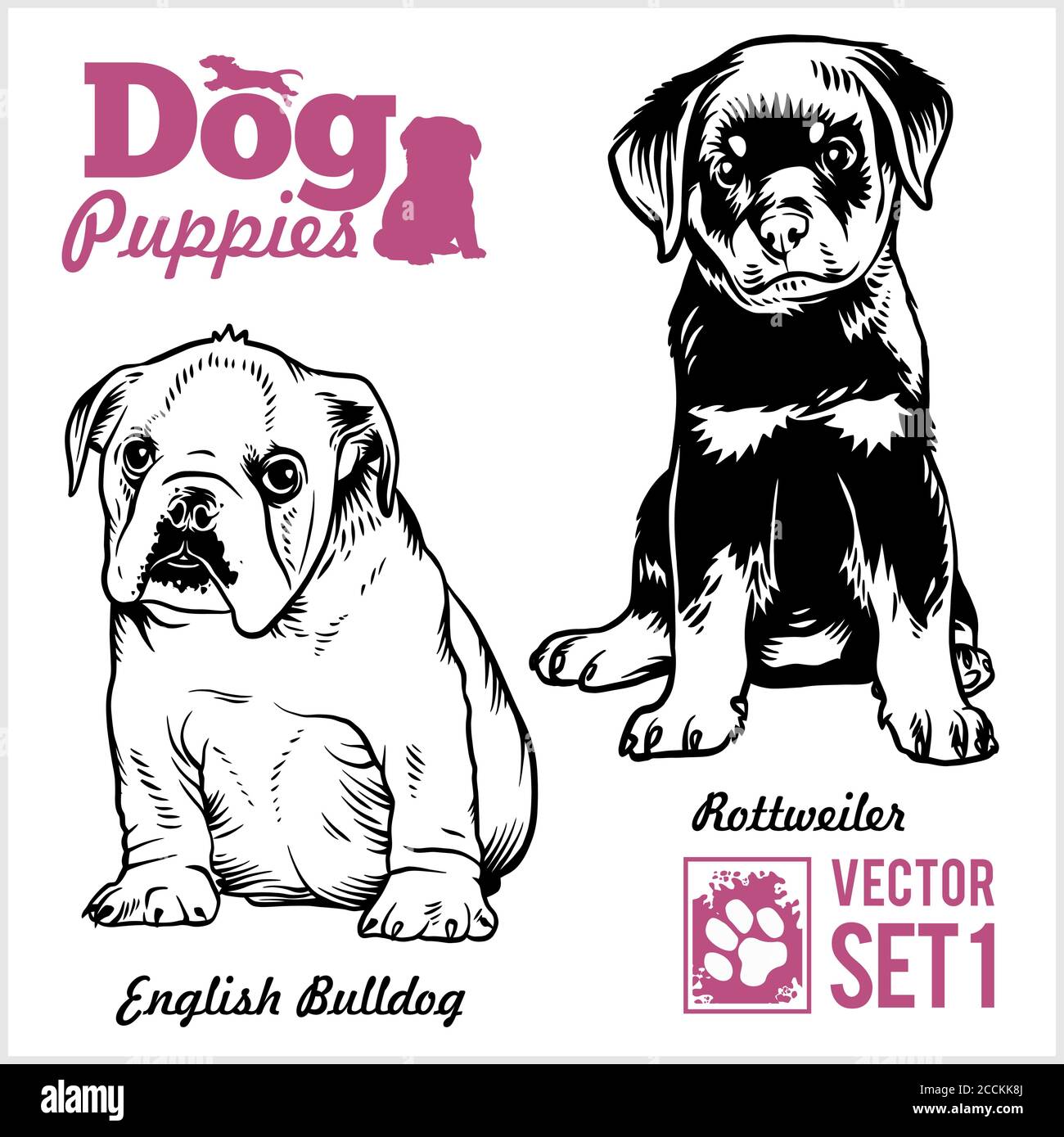 English Bulldog and Rottweiler - Dog Puppies. Vector set. Funny dogs puppy pet characters different breads doggy illustration isolated on white. Stock Vector