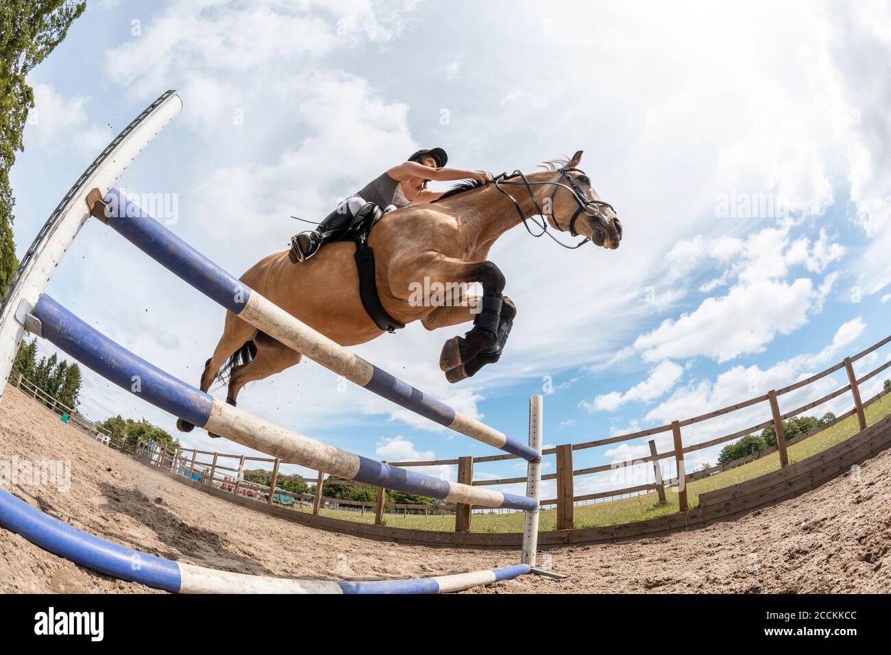 Young woman riding a horse and jumping over  hurdle Stock Photo