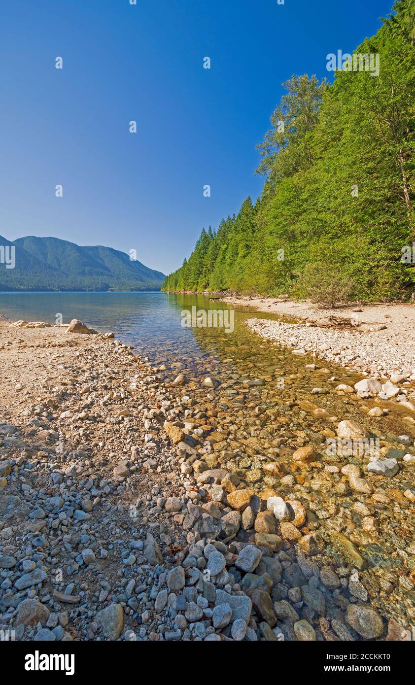 Calm Stream Emptying into an Alouette Lake in Golden Ears Provincial Park in British Columbia, Canada Stock Photo