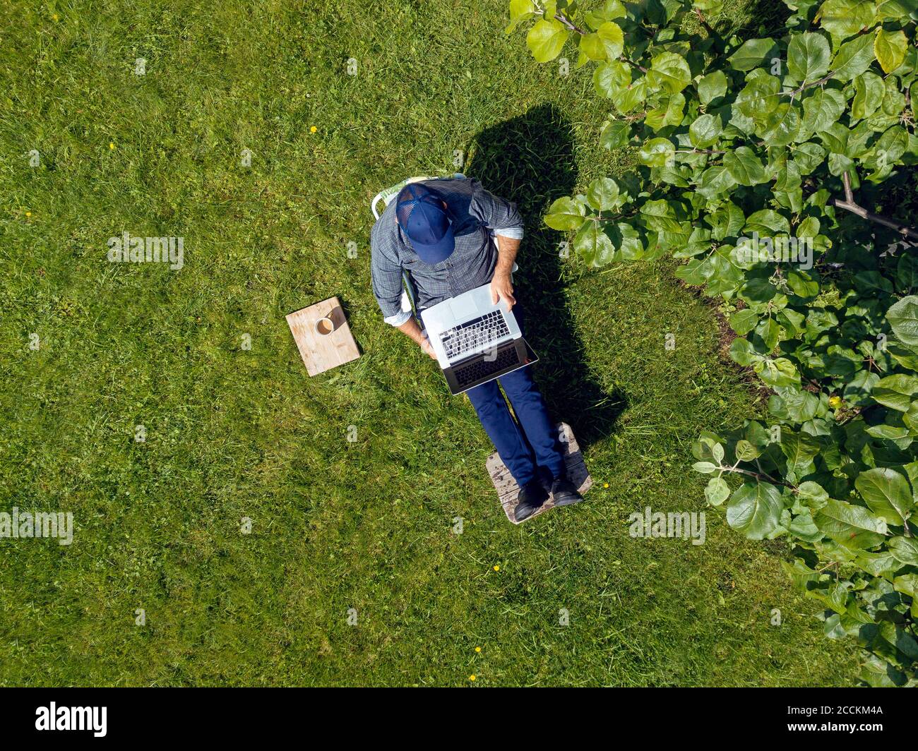 Man using laptop in garden Stock Photo
