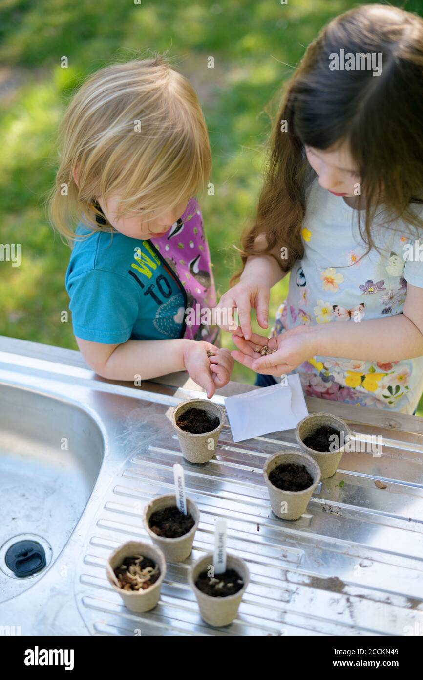 Girls planting seeds in small pots on table at garden Stock Photo