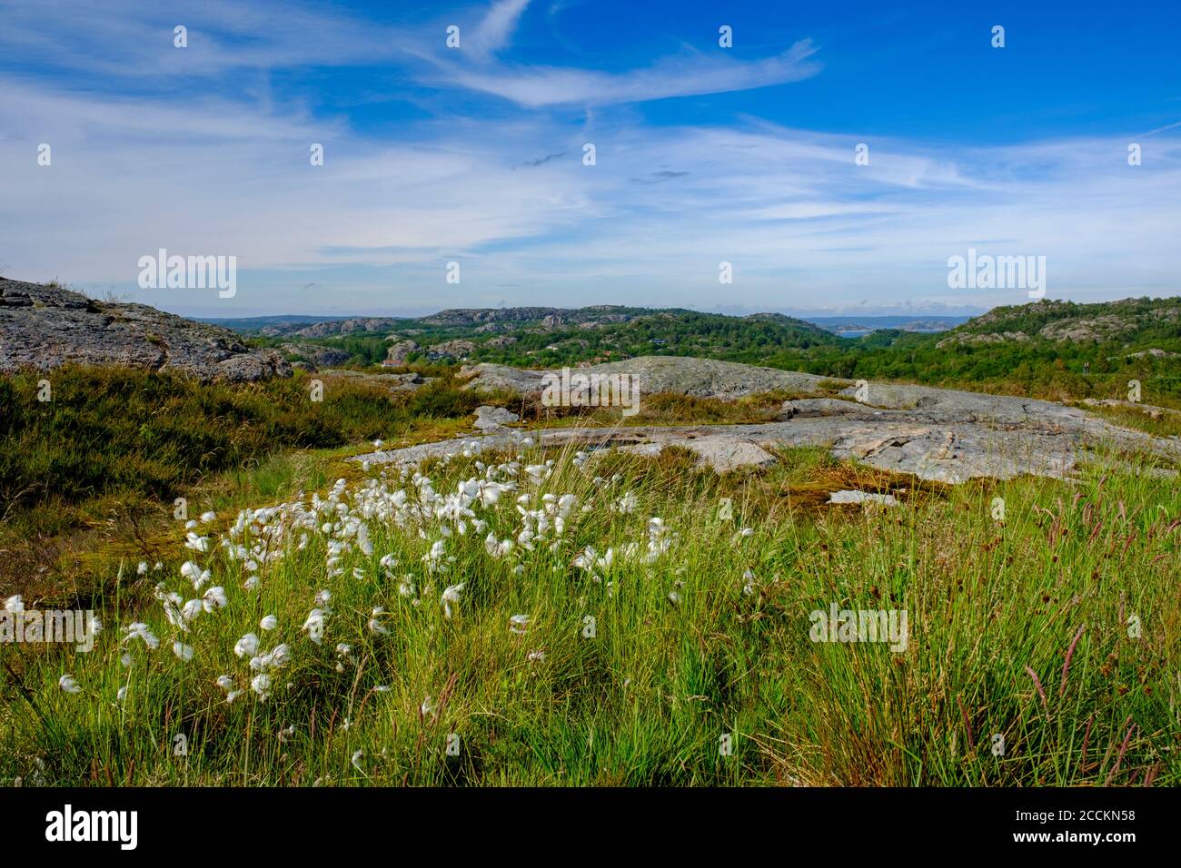 Summer day in alpine hi-res stock photography and images - Alamy