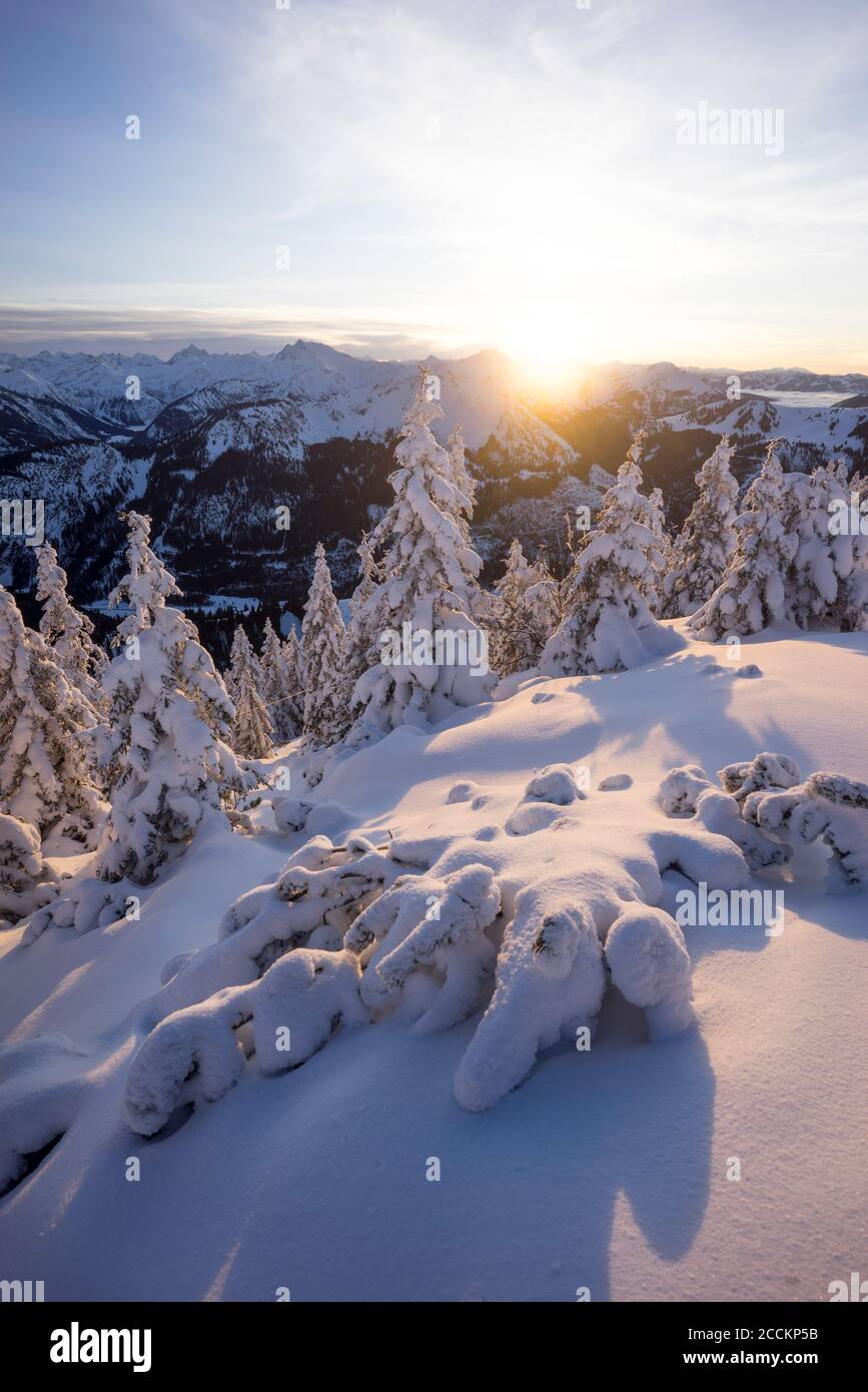 Trees at snowcapped mountain peak at sunset Stock Photo