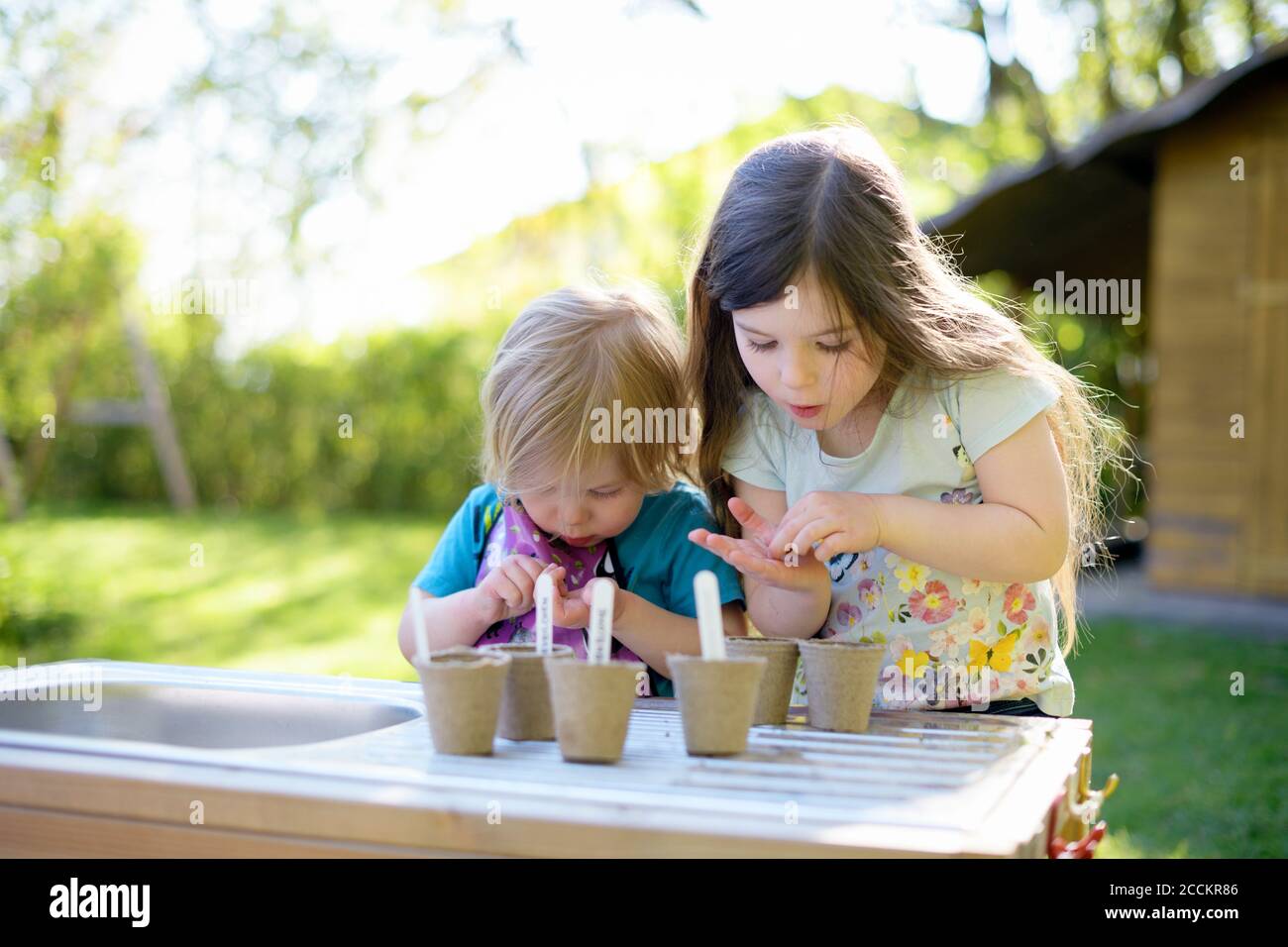 Cute girls planting seeds in small pots on table at yard Stock Photo