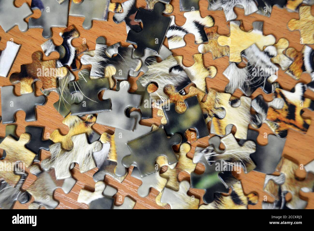 Unfinished Puzzle High Resolution Stock Photography and Images Alamy