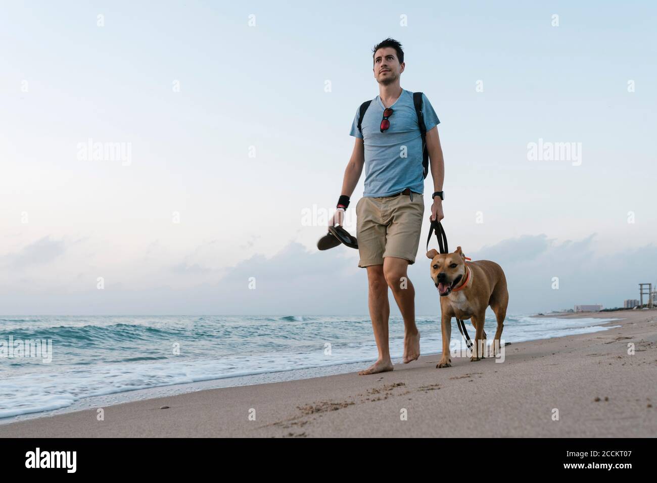 Man walking with his dog at beach Stock Photo