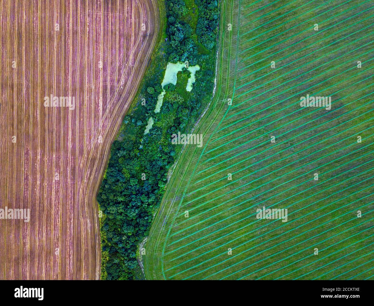 Aerial view of green and brown countryside field Stock Photo - Alamy