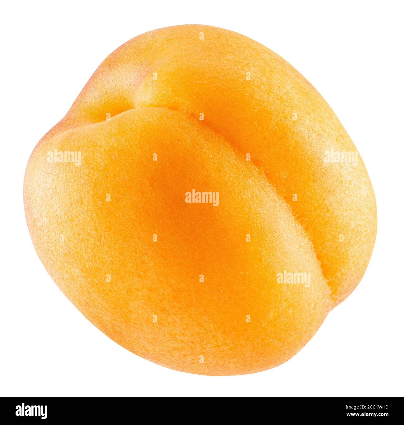 apricot isolated on a white background Stock Photo - Alamy