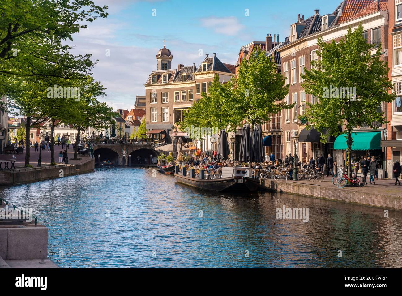 Netherlands, South Holland, Leiden, Nieuwe Rjin river canal Stock Photo