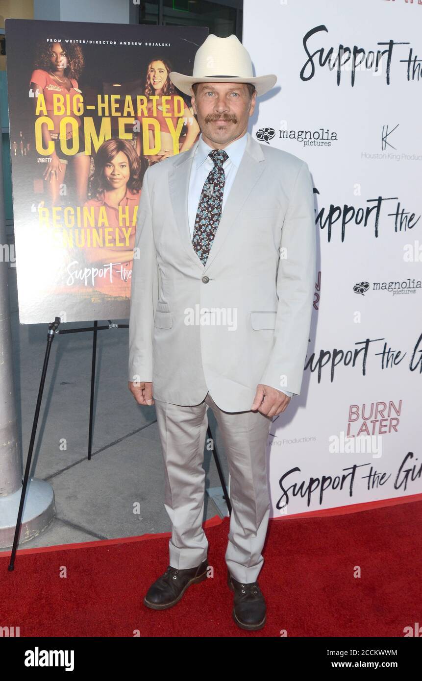 LOS ANGELES - AUG 22:  James LeGros at the Support the Girls Los Angeles Premiere at the ArcLight Theater on August 22, 2018 in Los Angeles, CA Stock Photo