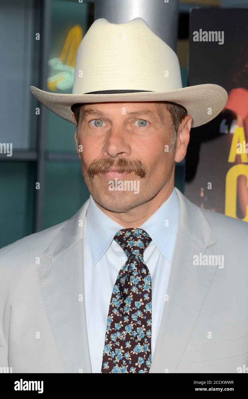 LOS ANGELES - AUG 22:  James LeGros at the Support the Girls Los Angeles Premiere at the ArcLight Theater on August 22, 2018 in Los Angeles, CA Stock Photo
