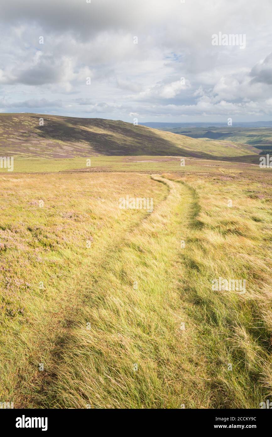 Hedgehope Hill walk from Breamish Valley, Northumberland National Park ...