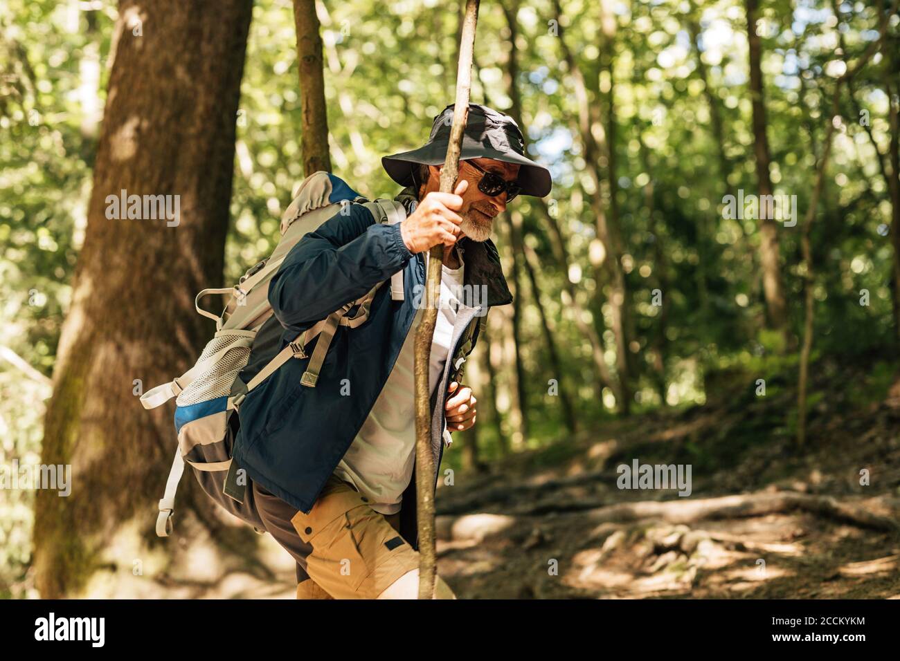 Side view of mature man with backpack walking through trees on a trail. Male backpacker hiking through trees using a stick. Stock Photo