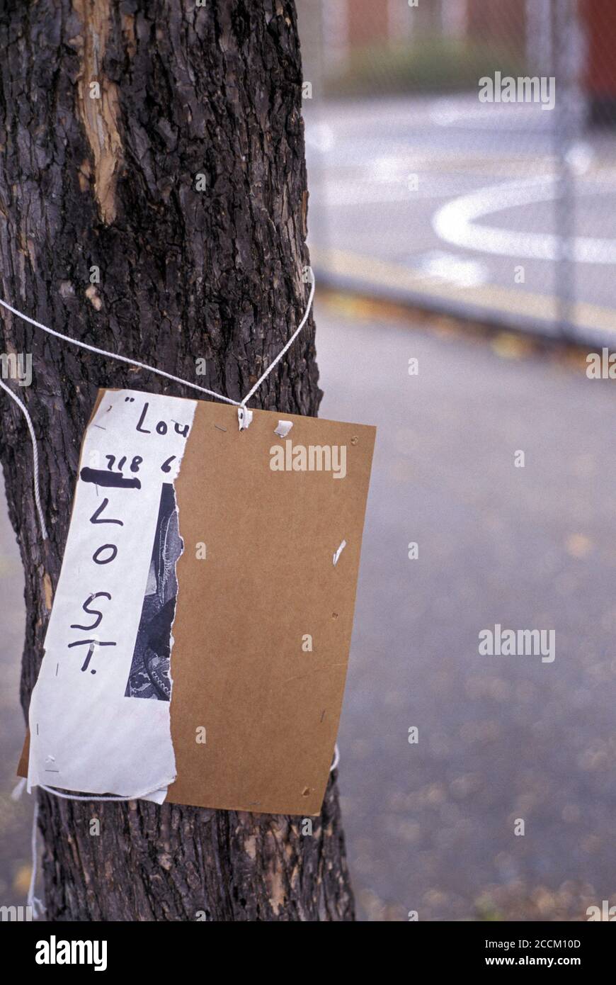 'Lost' sign posted on tree. Stock Photo