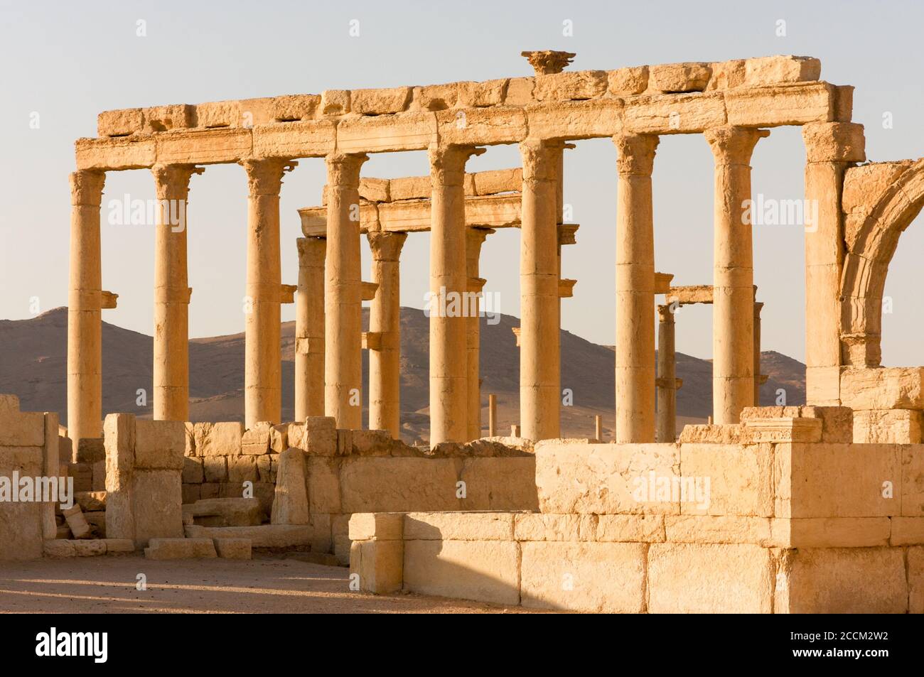 Palmyre Syria 2009 The ruins of an ancient city dating from the Roman period Stock Photo