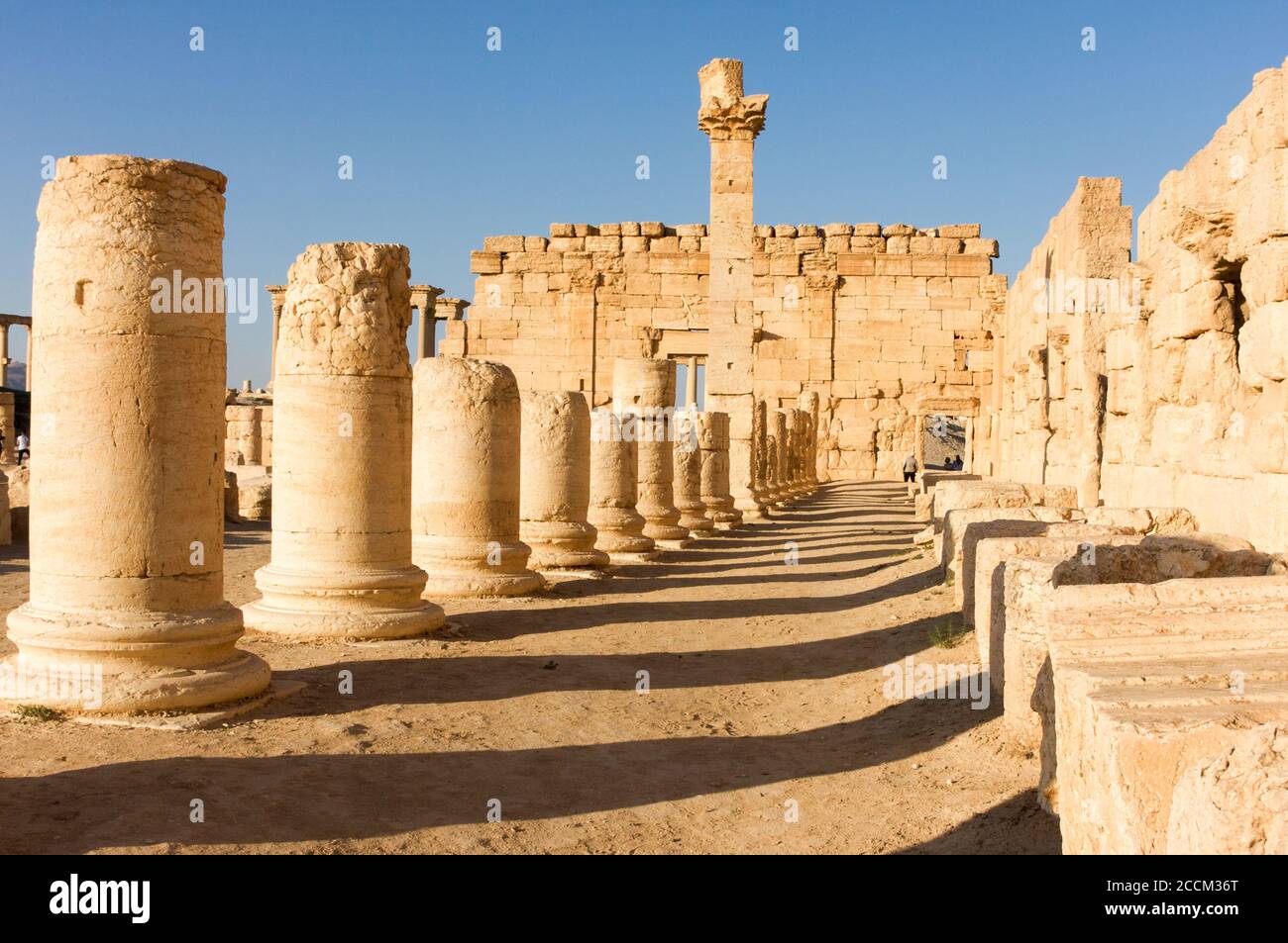 Palmyre Syria 2009 The ruins of an ancient city dating from the Roman period Stock Photo