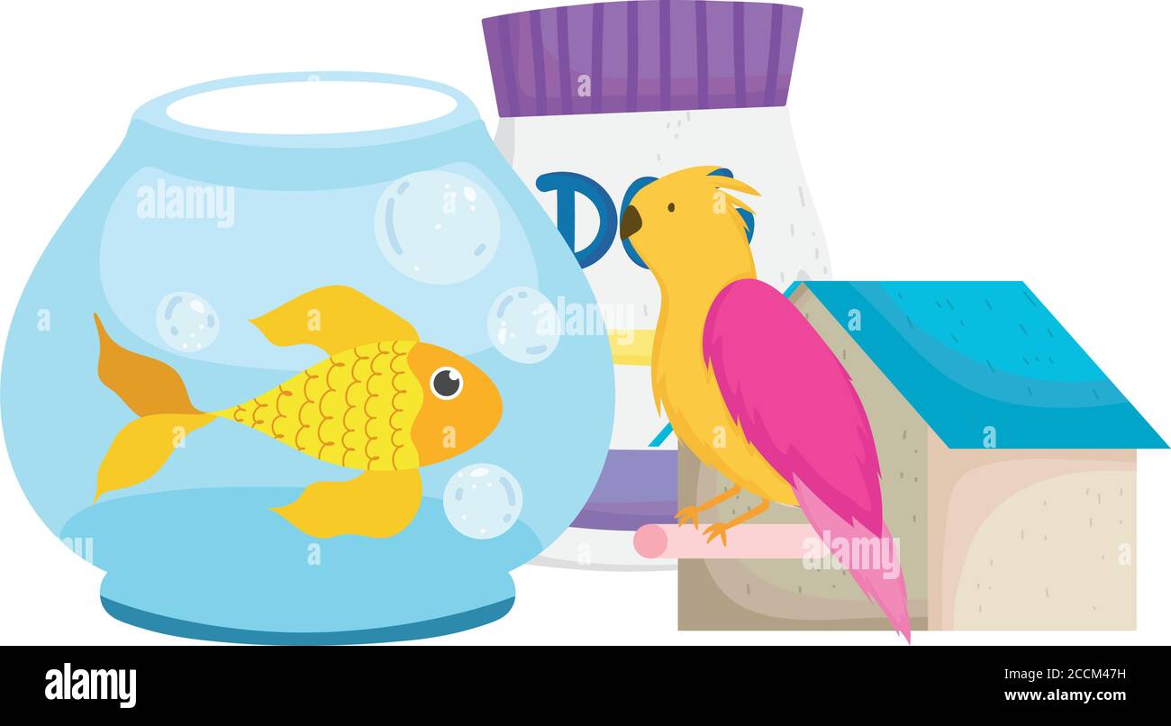 fish and bird box Songbird Essentials Trout Birdhouse E Cage Finch Nest Box is thoughtfully designed with a front access hole and perch A Bird Box Build