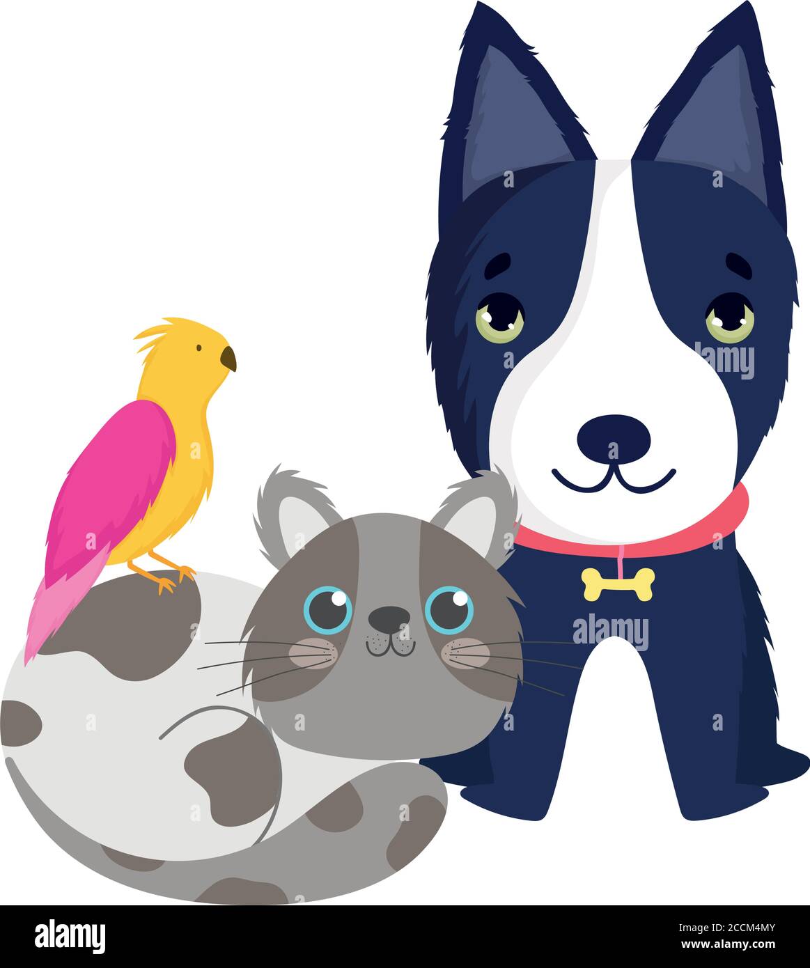 pet shop, black dog cat and bird animals domestic cartoon vector  illustration Stock Vector Image & Art - Alamy