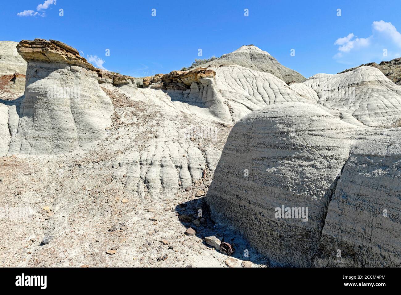 Fossils sedimentary rock hi-res stock photography and images - Alamy