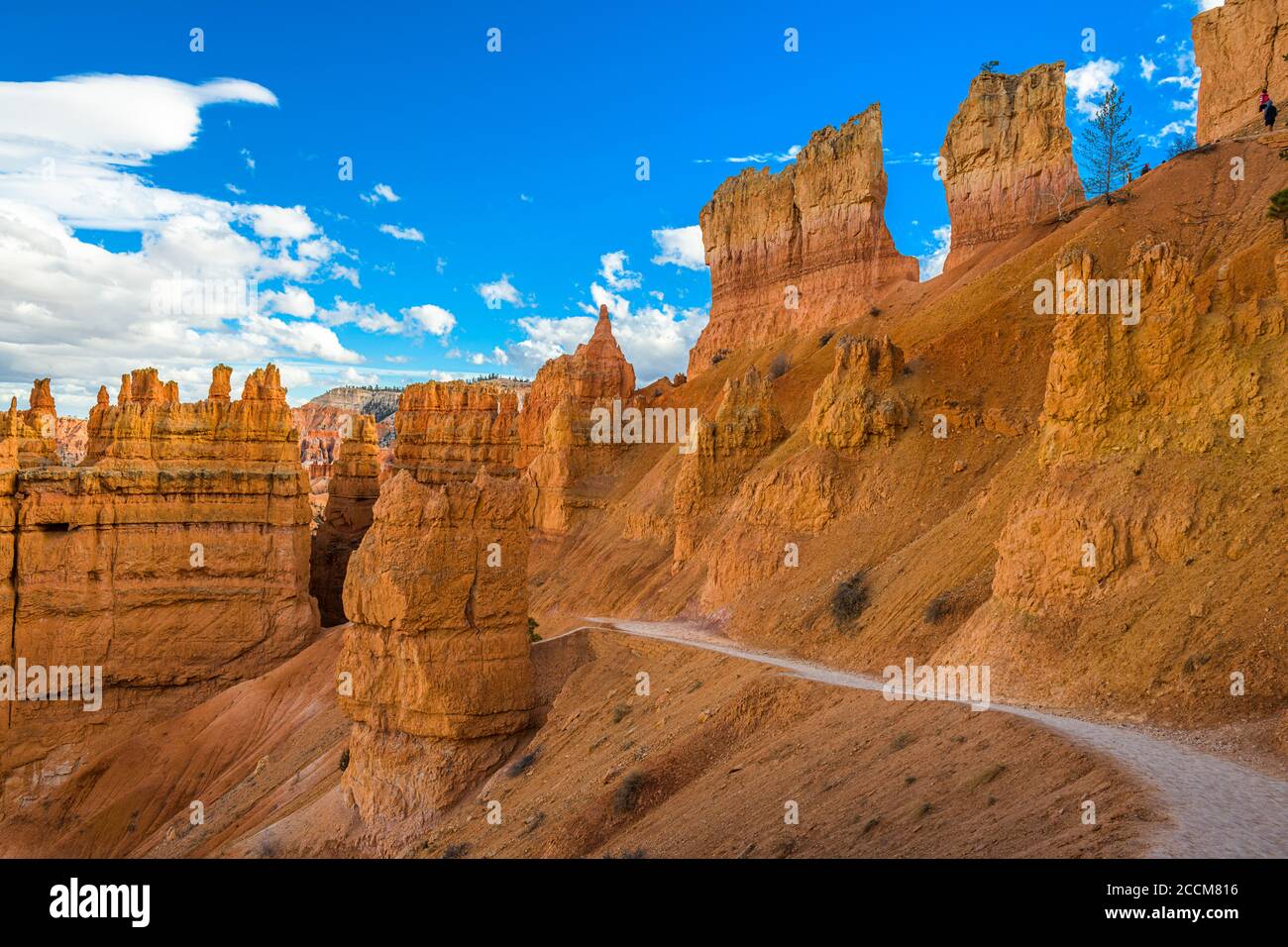 Trails leading into Bryce Canyon, Utah, USA. Stock Photo