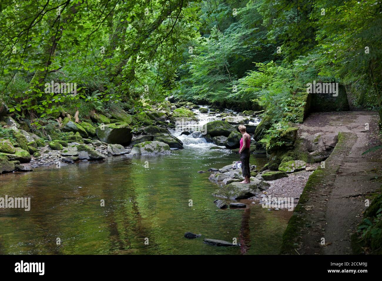 A walker enjoys the waterside and dappled shade on the East Lyn river near Watersmeet ,Lynmouth, North Devon Stock Photo