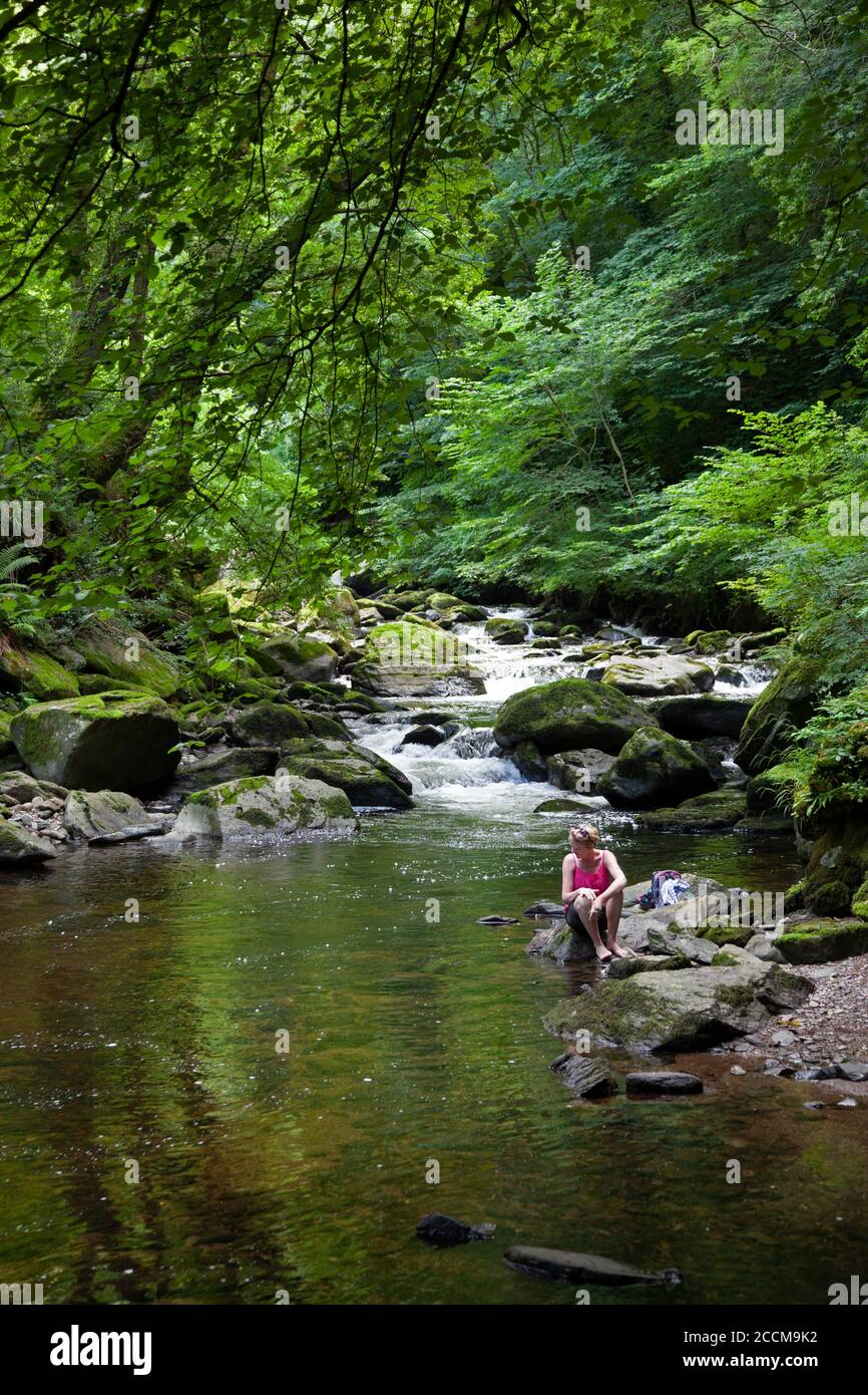 A walker enjoys the water and dappled shade on the East Lyn river near Watersmeet ,Lynmouth, North Devon Stock Photo