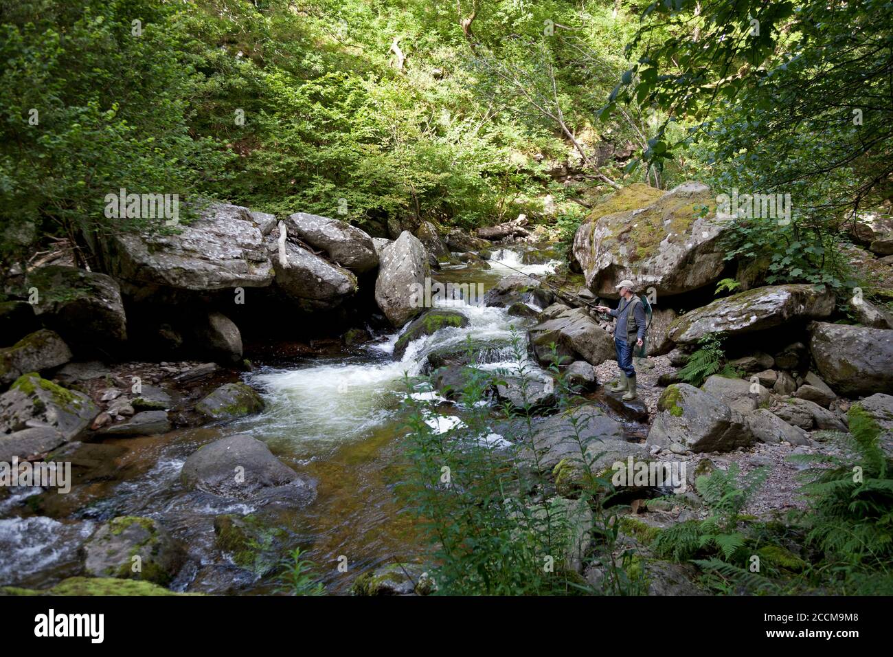 A fishermen tries his luck near Watersmeet on the east Lyn River in Lynmouth , North Devon Stock Photo