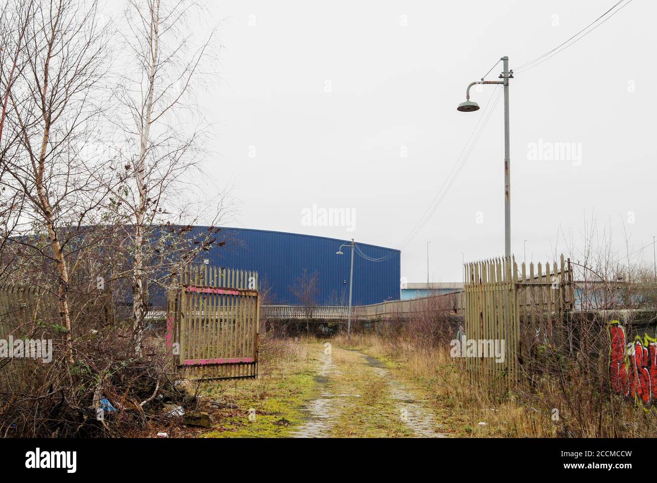 Overgrown cobblestone road or path and disused street lights lamps, off