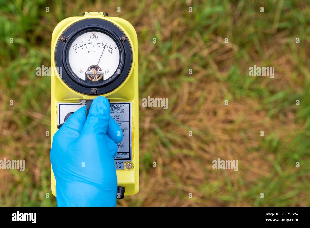 A blue gloved hand holds a radiation meter. The meter shows a high level of radiation. Grass in the background, most of which is brown and dead. Stock Photo