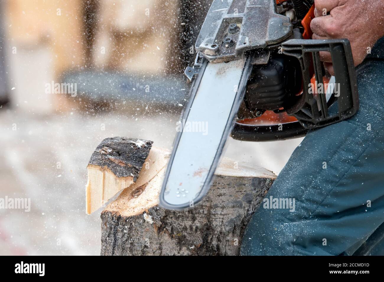 A chainsaw cutting a vertical log. The chain is blurred due to motion. Sawdust flies around as a piece of wood falls off. Stock Photo