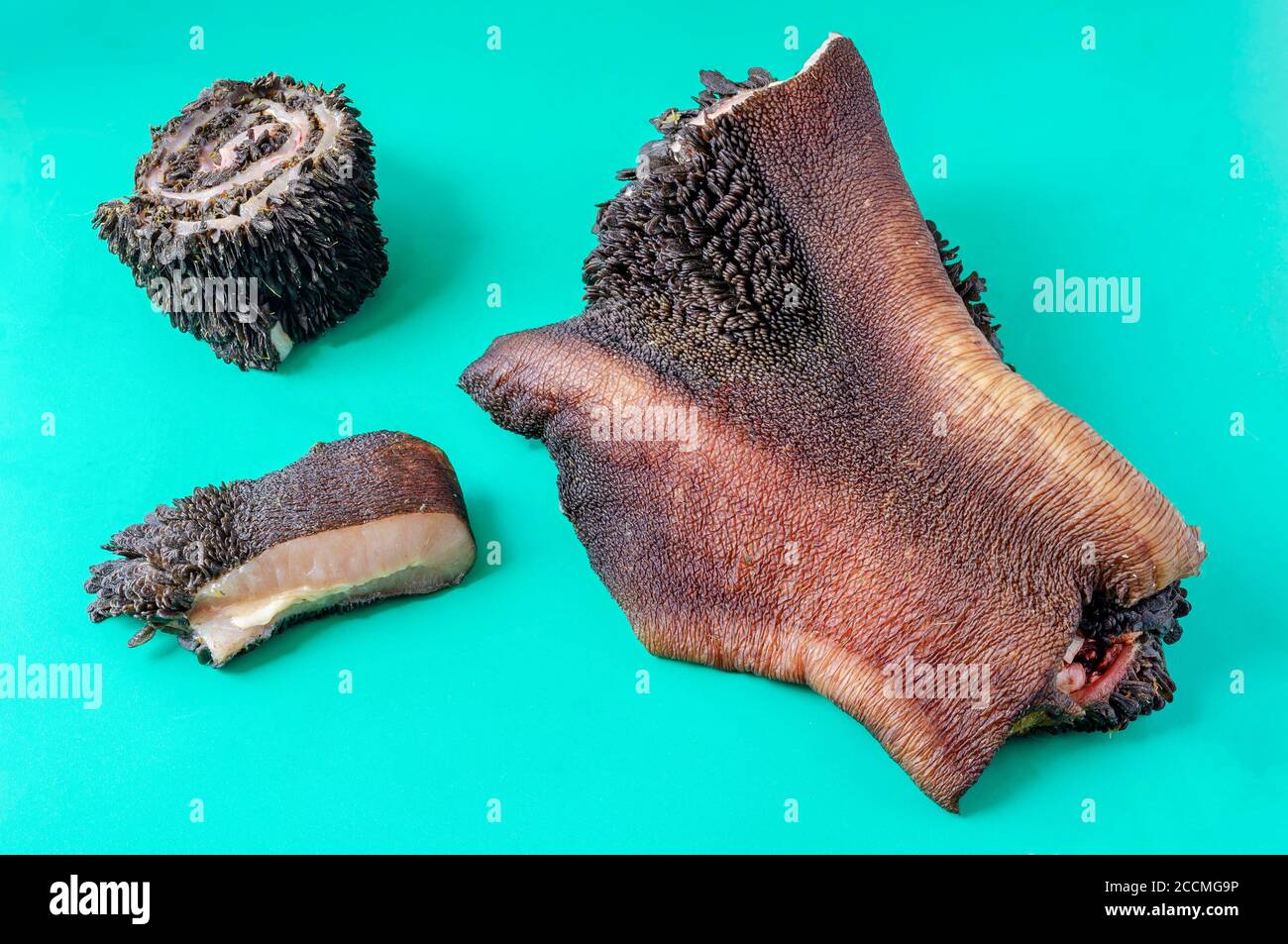 Pieces of raw cow stomach on turquoise. Random pieces Black unpeeled tripe with grass residues. Beef offal. Close-up. Stock Photo